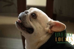 8-26-23-Riverside-Dogs-107