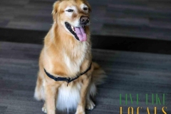 8-26-23-Riverside-Dogs-62