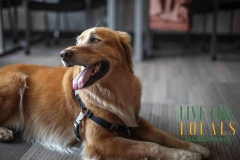 8-26-23-Riverside-Dogs-65
